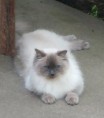 /album/gino-v-novem-domove/a20160605-091715-1-jpg/